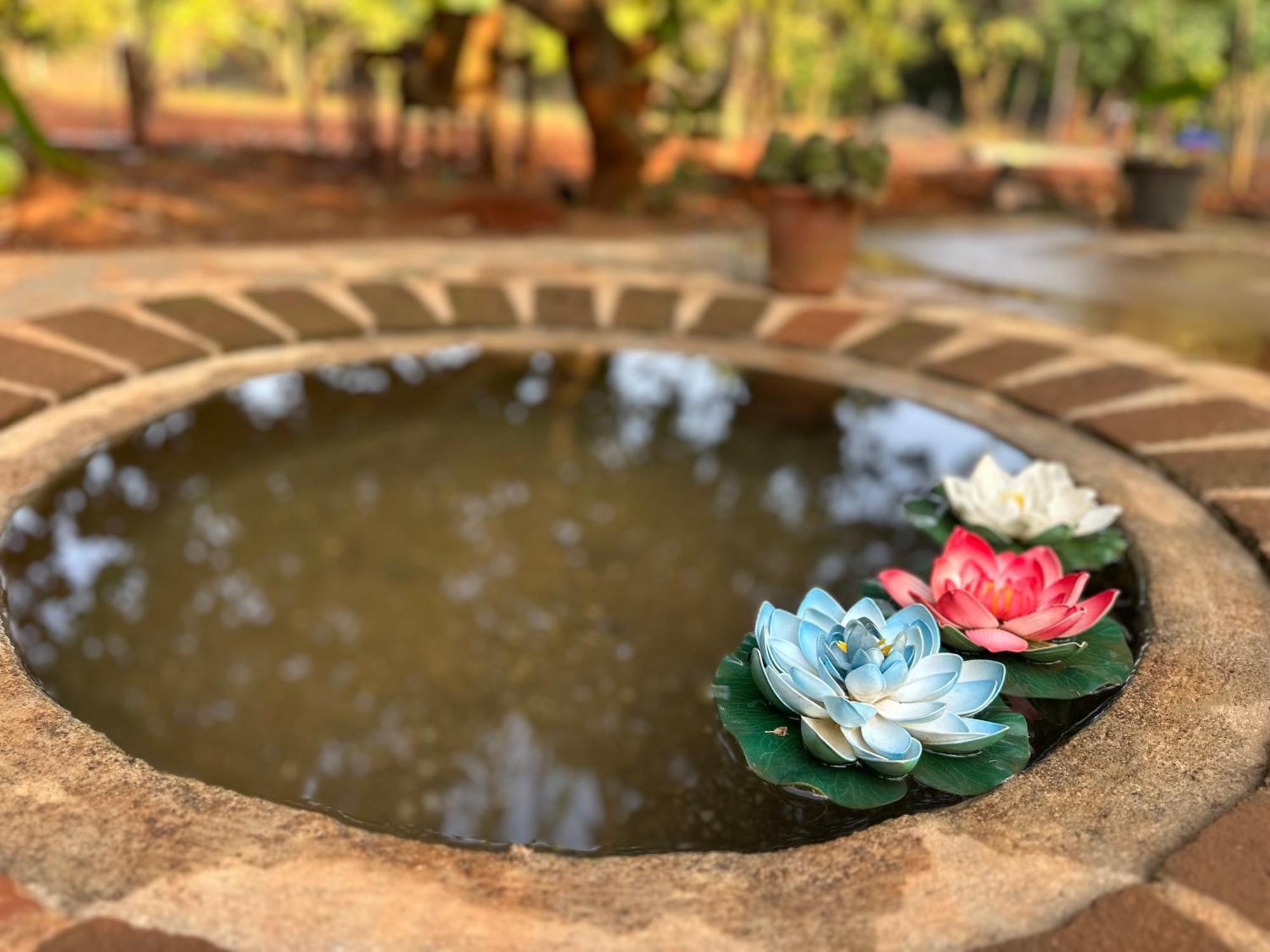 Lotus Garden Guest House Auroville Esterno foto