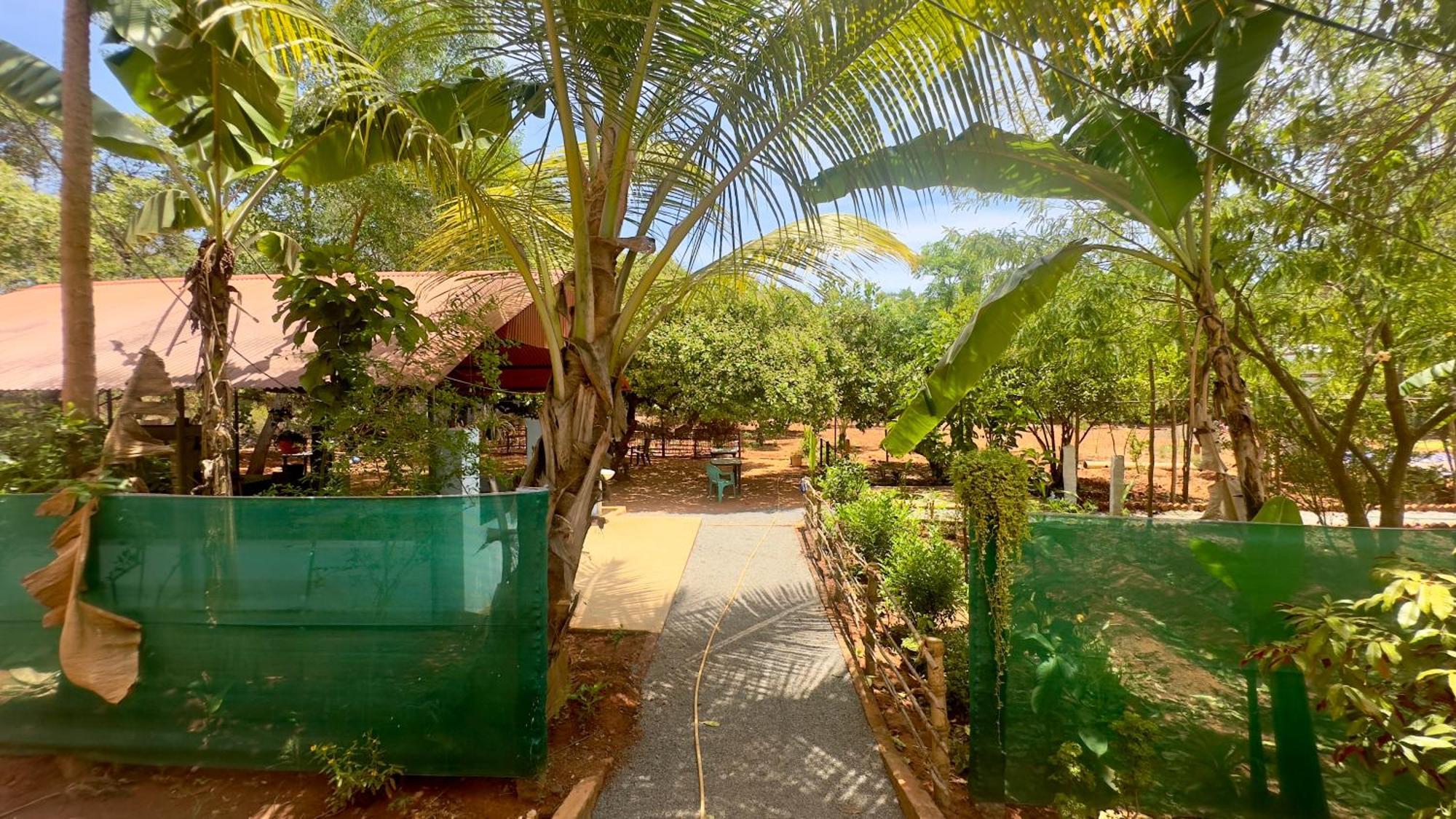 Lotus Garden Guest House Auroville Esterno foto
