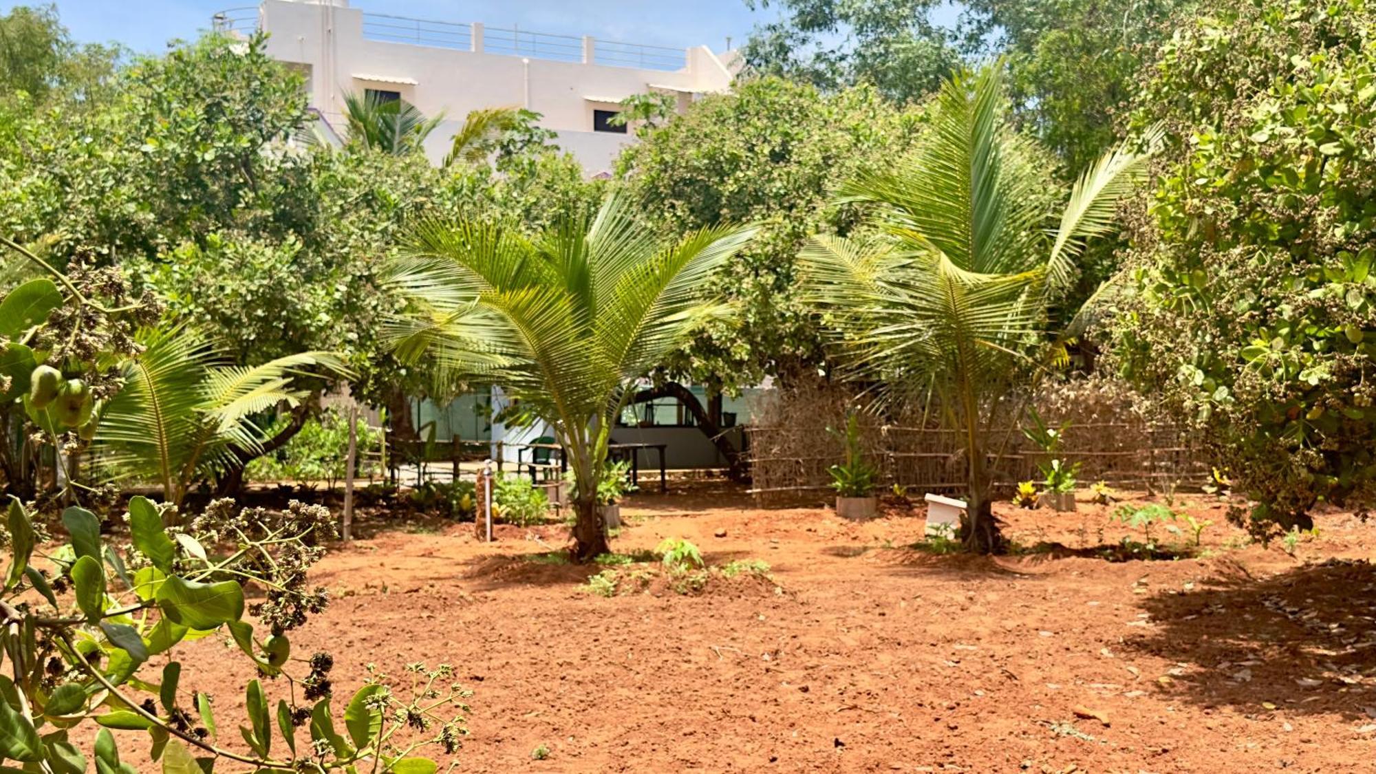 Lotus Garden Guest House Auroville Esterno foto
