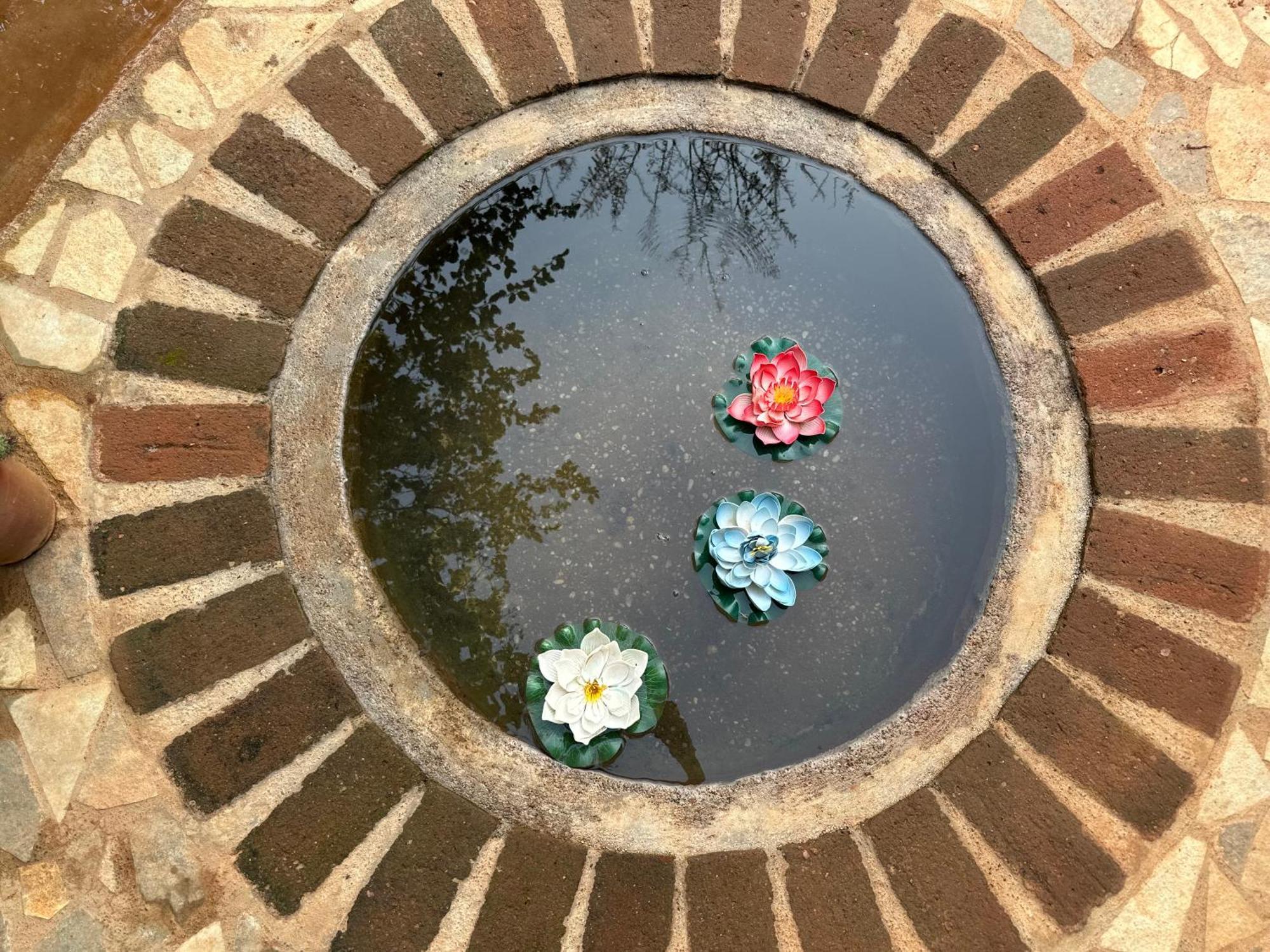 Lotus Garden Guest House Auroville Esterno foto